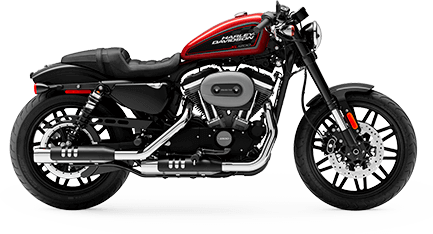 Sportster® for sale in Port Charlotte and Clearwater, FL